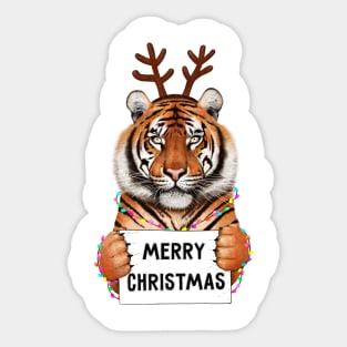 Tiger in Christmas Sticker